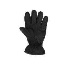 Gants De Ski Pour Hommes Heatkeeper Noir -Horizon Glacial gants de ski pour hommes heatkeeper noir 2